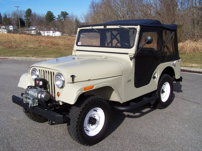 1965 Jeep Automobile