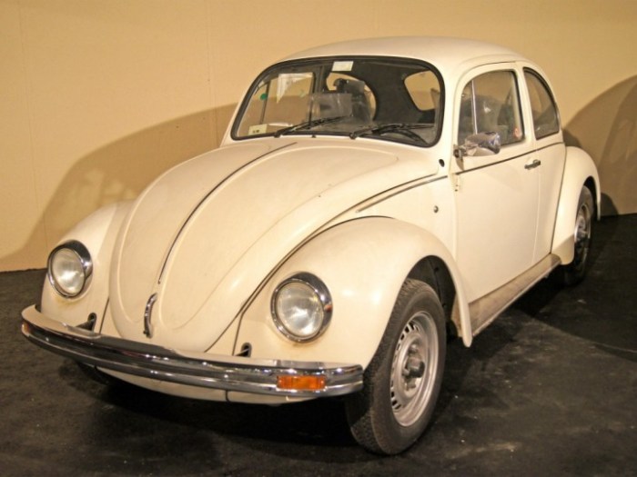 Beetle vw beatles