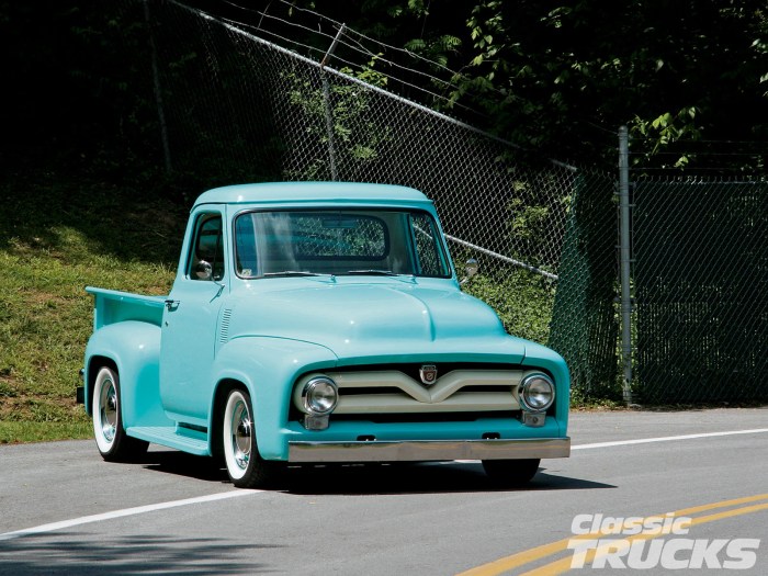 Ford f100