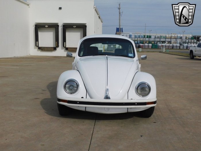Beetle volkswagen wikipedia file vw bug car wiki original beatle volkswagon wolkswagen history red beetles old volswagen first years super