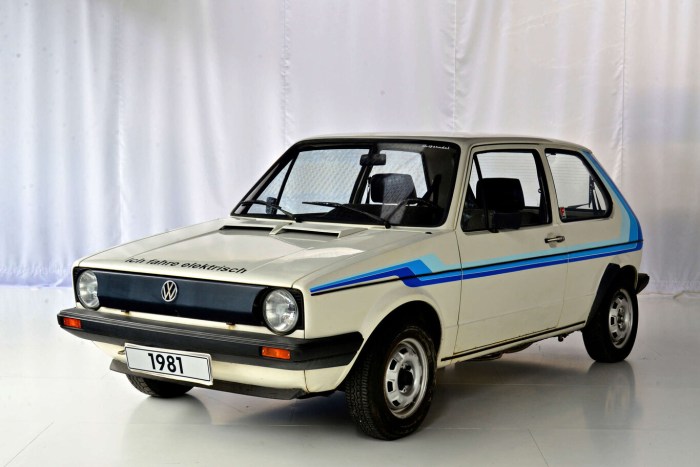 Rabbit pickup lx