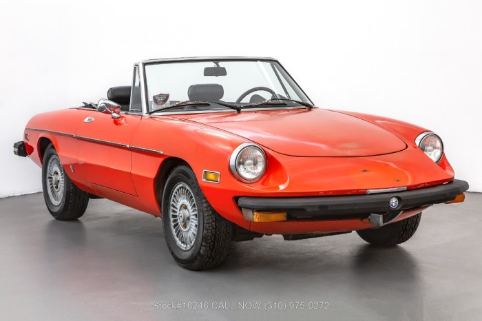 Alfa 1978 spider romeo momentcar