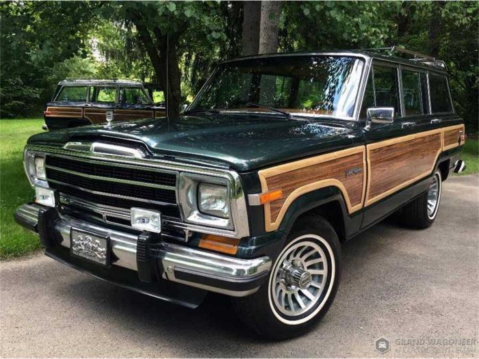 Wagoneer 1984 motorcar