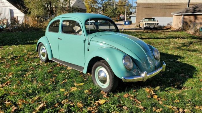 1952 beetle volkswagen zwitter