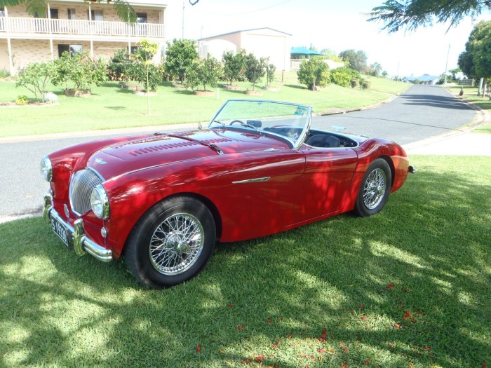 Healey 1954 bn1