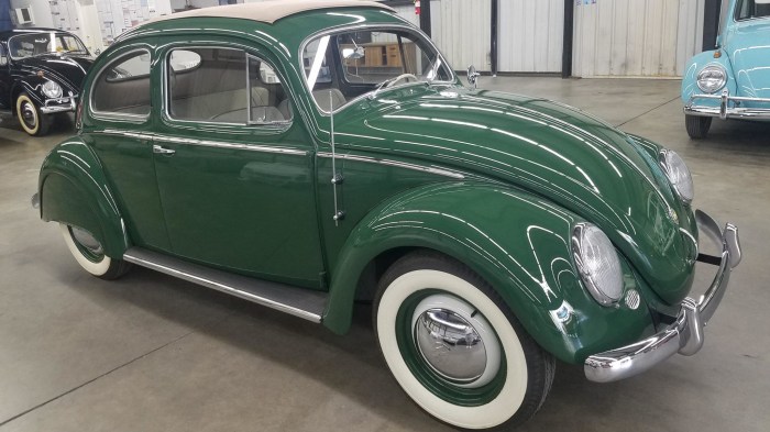 Beetle