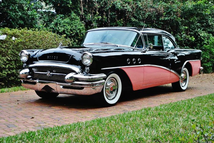 Buick 1955 lakeland