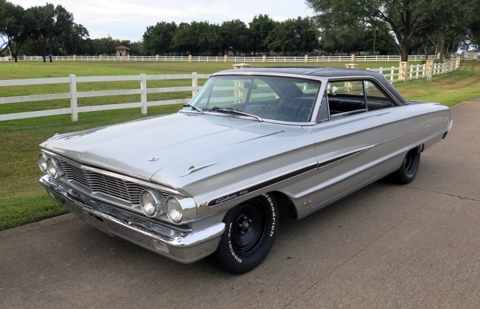 Galaxie consumerguide whatever paint