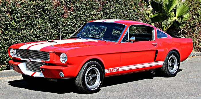 1966 mustang gt350 shelby car next