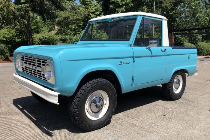 Bronco cab