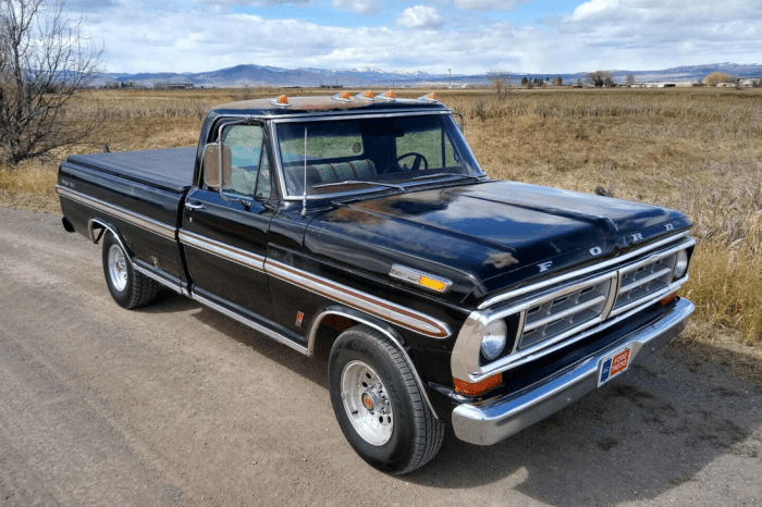 1971 f100 xlt raven survivor