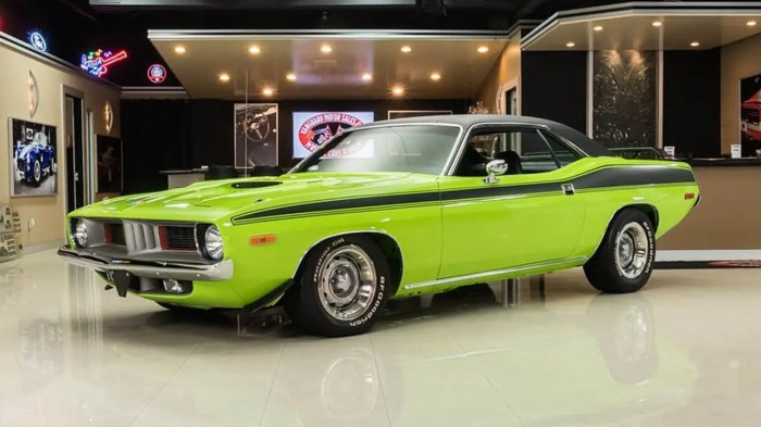 1973 barracuda