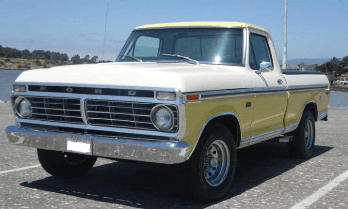 F100 short interior