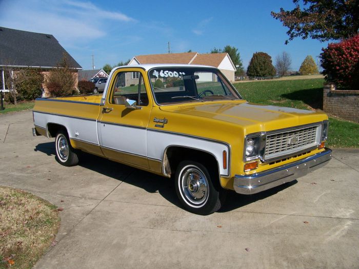 1974 Chevrolet Cheyenne