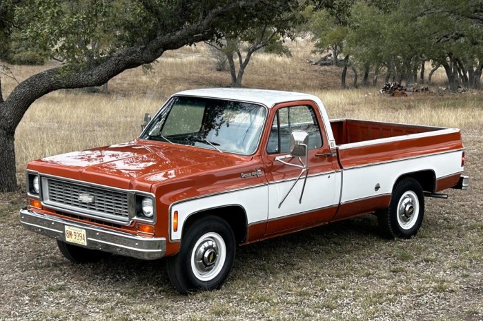 1974 cheyenne c10