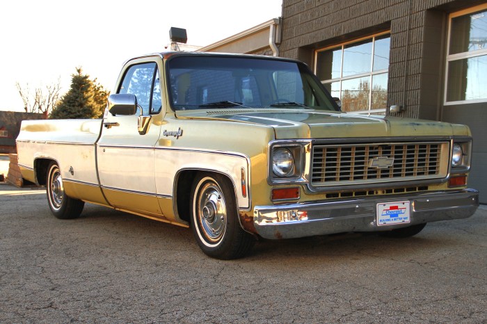 1974 c10 chevrolet truck cheyenne super finds barn