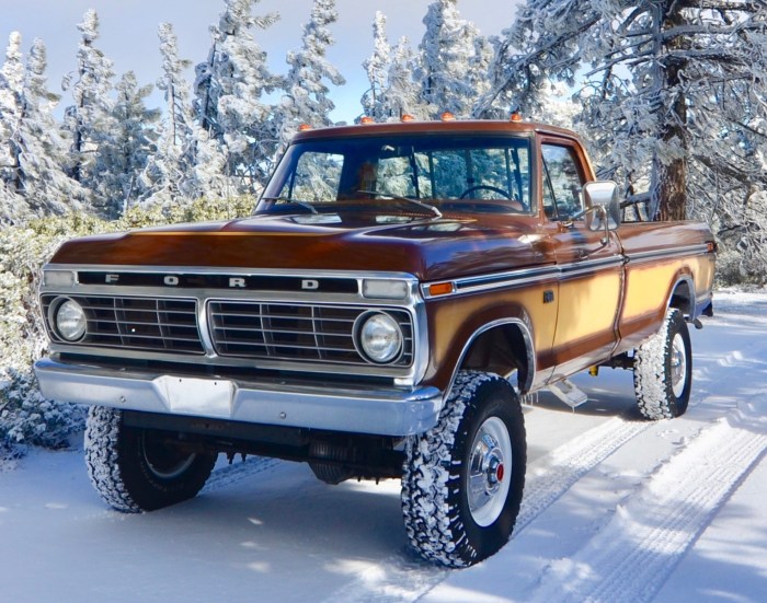 1974 Ford F250