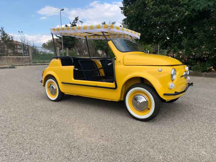 1975 Fiat Jolly