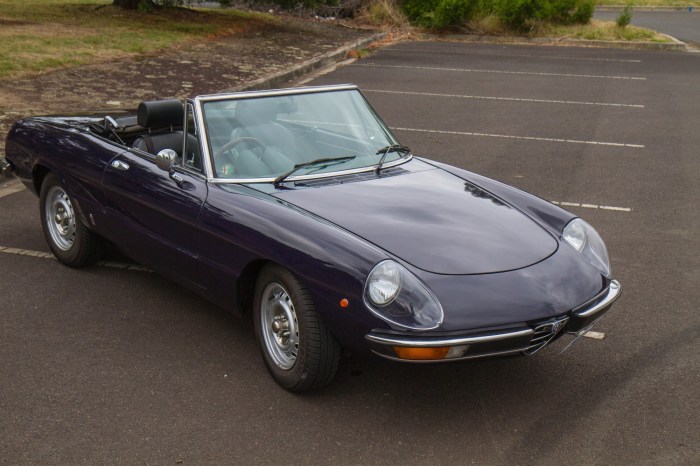 1976 Alfa Romeo 2000 Spider Veloce: Italian Elegance and Performance