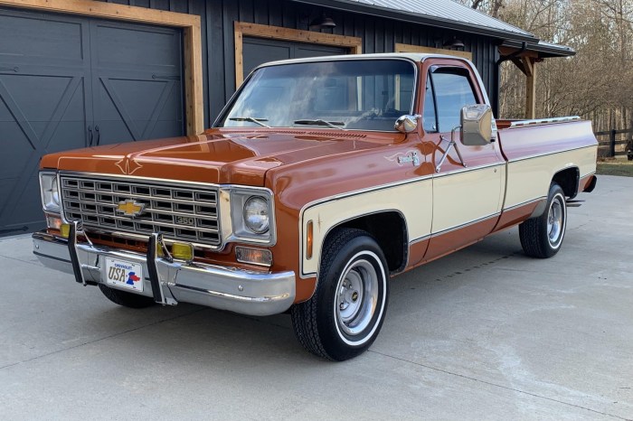 1976 Chevrolet C10