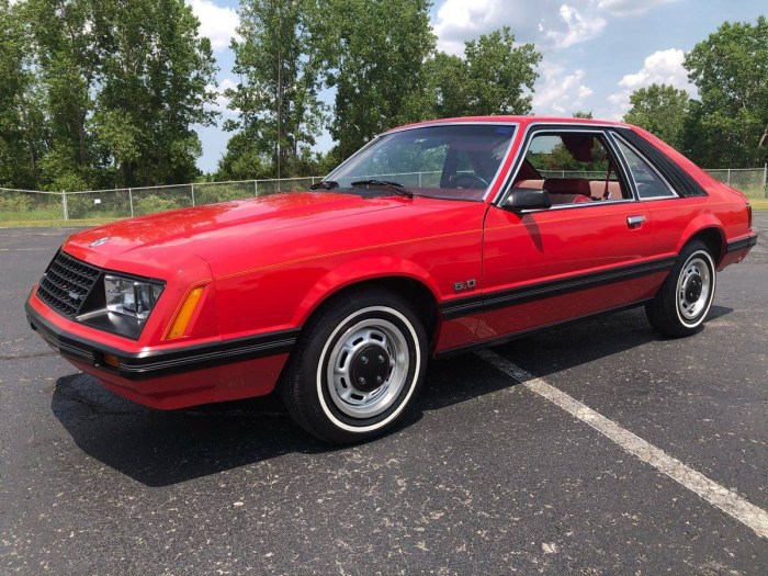1979 mustang stang