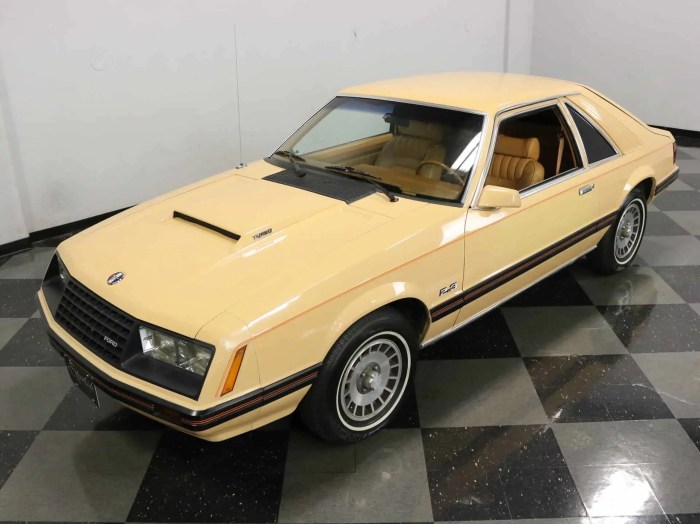 Mustang 1979