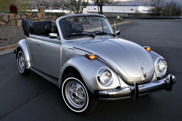 1979 Volkswagen Super Beetle