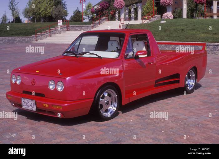 1981 Volkswagen Custom