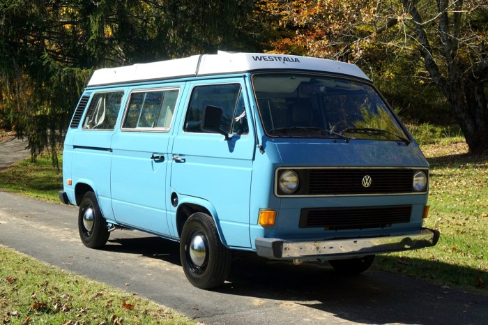1982 Volkswagen Vanagon: A Classic Vans Enduring Appeal