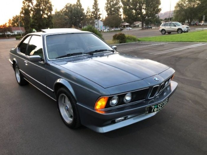 1983 BMW E24