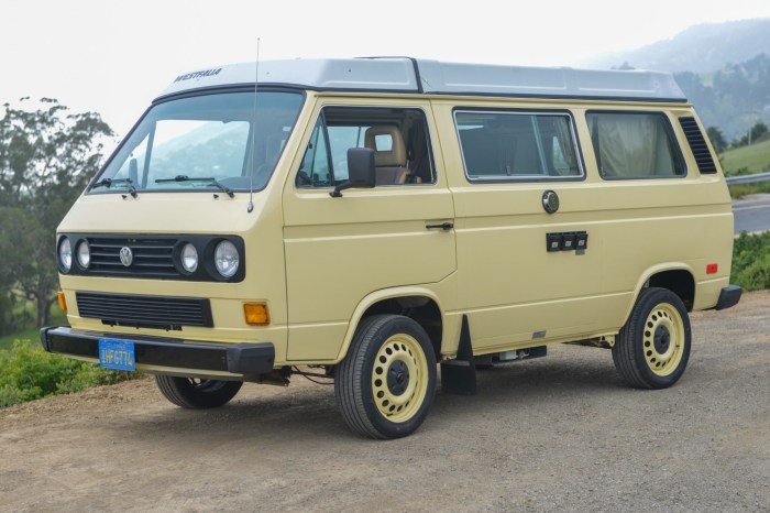 Vanagon