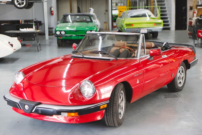 Alfa spider 1984 romeo veloce bat