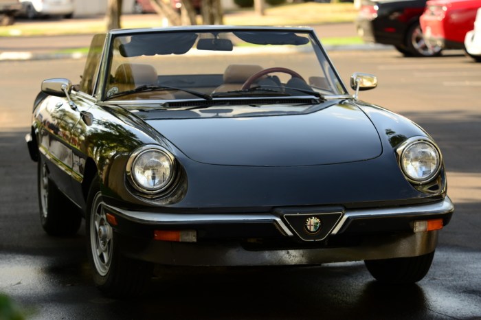 1984 Alfa Romeo Spider Veloce: A Classic Italian Sports Car