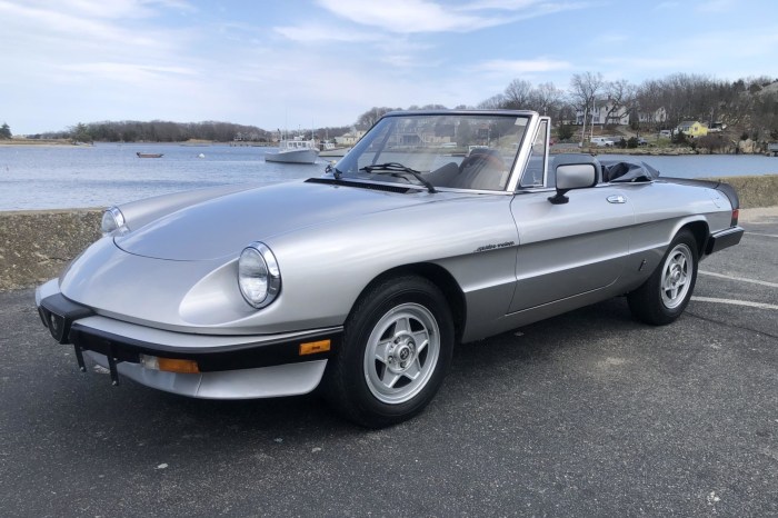 1984 Alfa Romeo Spider: A Classic Italian Sports Car