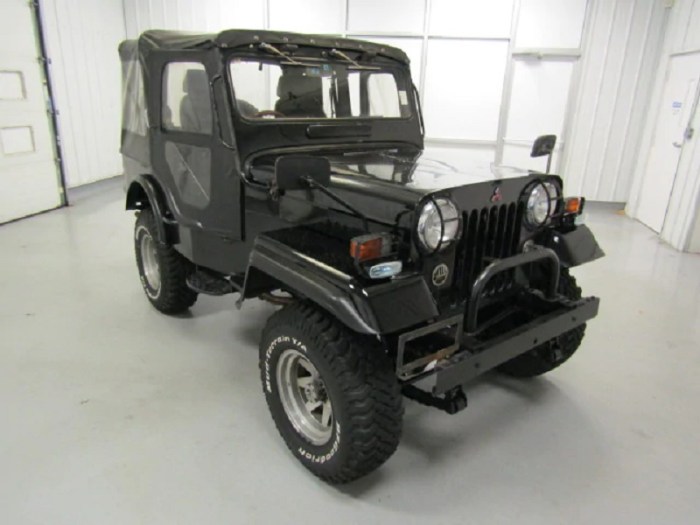 1975 Mitsubishi Jeep