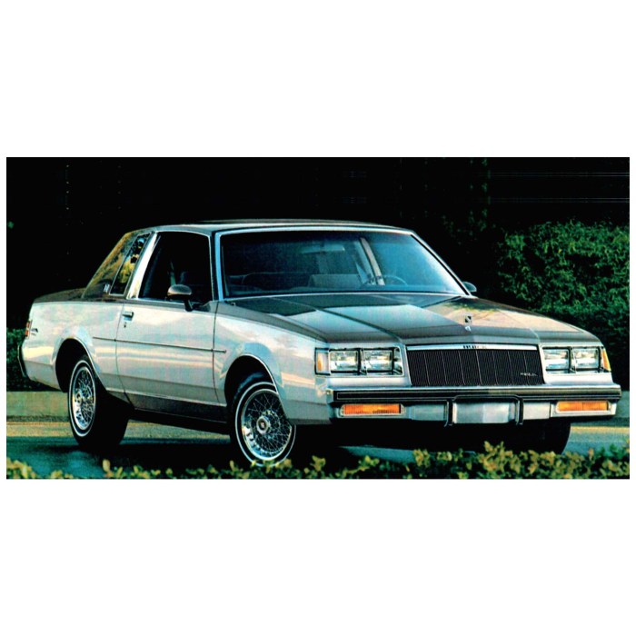 Regal buick 1986 coupe back classics