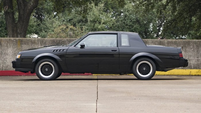 Buick 1987 gnx regal coupe j47 voiture