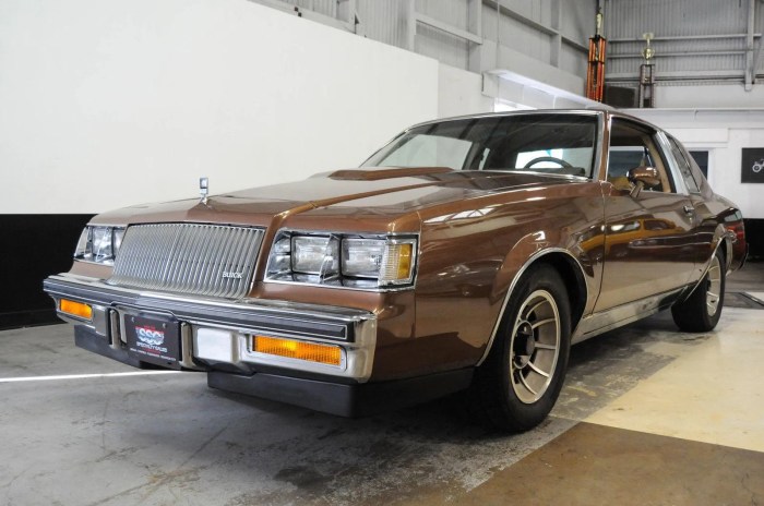Regal buick 1987 type cars classic
