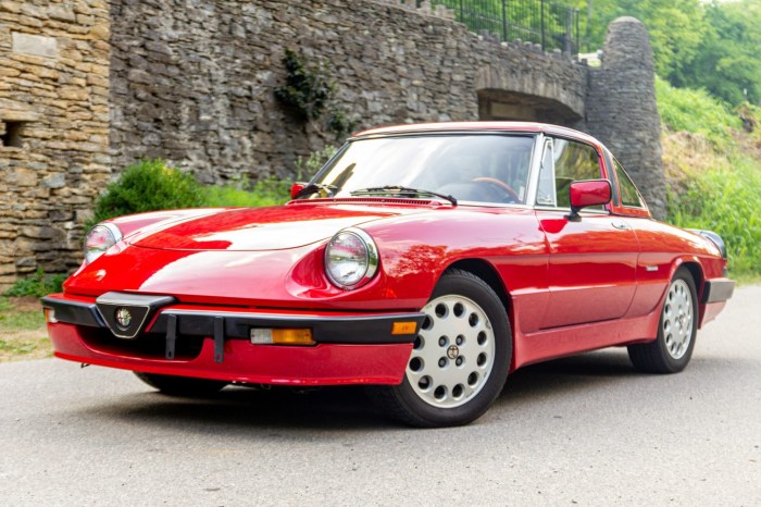 1987 Alfa Romeo Spider