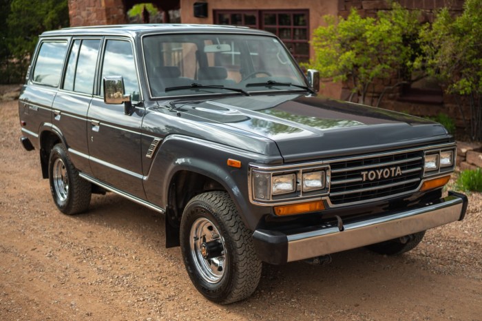 1989 Toyota Land Cruiser