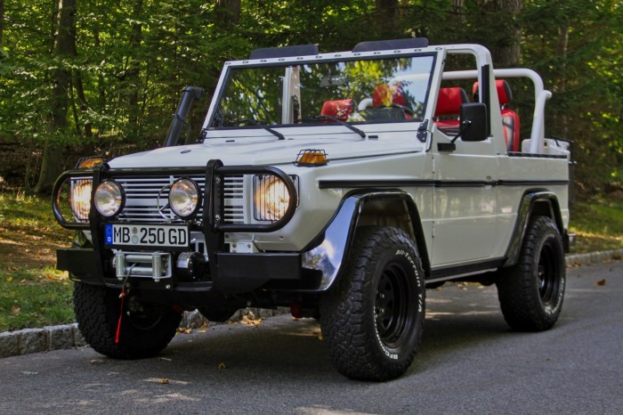 1992 Mercedes-Benz 250GD: A Rugged Off-Road Icon