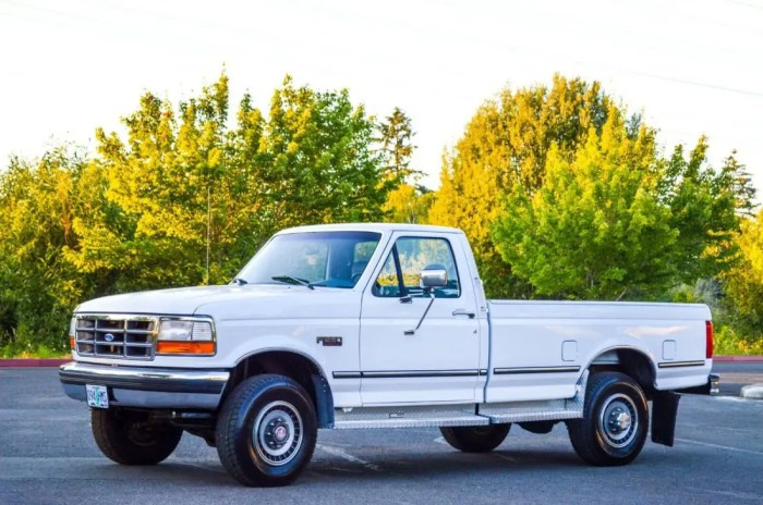 1994 Ford F250: A Classic Workhorse