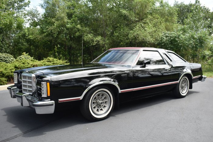 1979 Ford Thunderbird