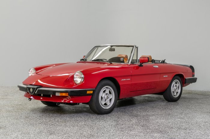1989 Alfa Romeo Spider