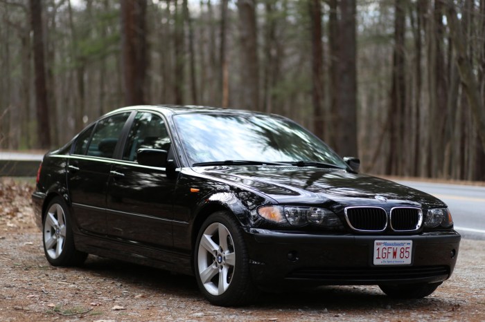 2005 BMW 325I