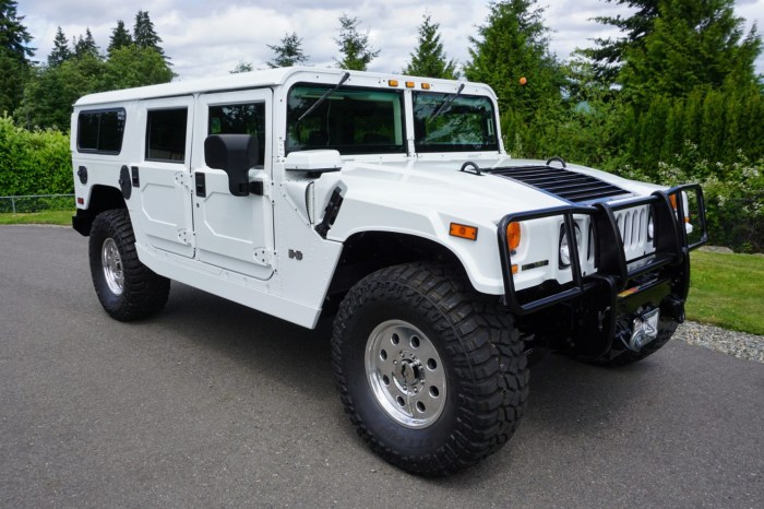 Hummer h1 alpha