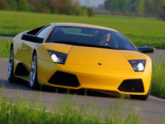 Lp640 murcielago