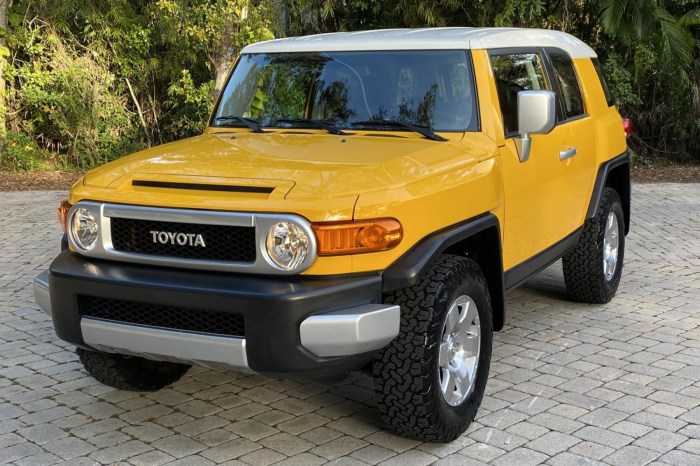 2007 Toyota FJ Cruiser