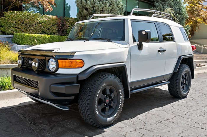 2008 Toyota FJ Cruiser