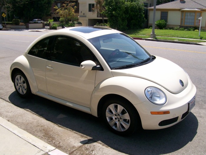 Beetle